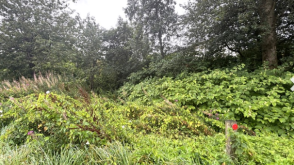 Development Opportunity in Shotts photo